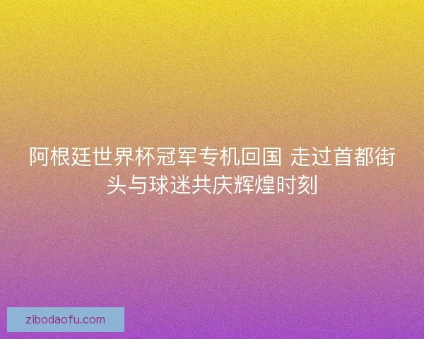 阿根廷世界杯冠军专机回国 走过首都街头与球迷共庆辉煌时刻
