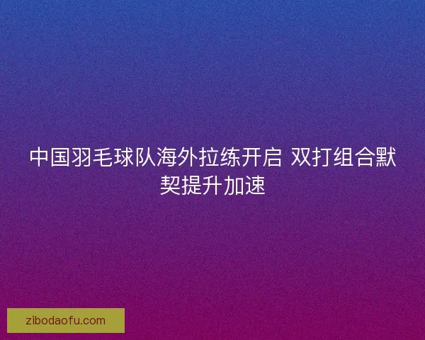 中国羽毛球队海外拉练开启 双打组合默契提升加速